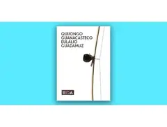 Sounds of the Earth Quijongo Guanacasteco Eulalio Guadamuz main image
