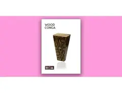 Sounds of the Earth Wood Conga main image