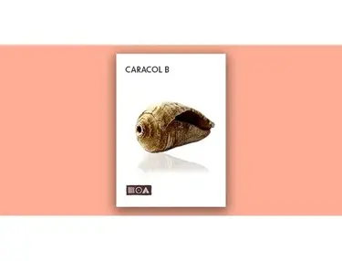 Sounds of the Earth Caracol B