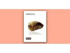 Sounds of the Earth Caracol B main image