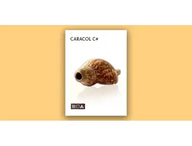 Sounds of the Earth Caracol C#
