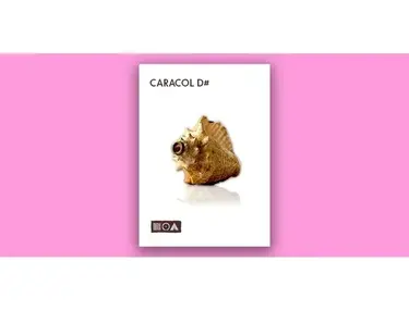 Sounds of the Earth Caracol D#