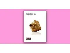Sounds of the Earth Caracol D# main image
