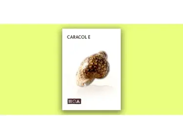 Sounds of the Earth Caracol E