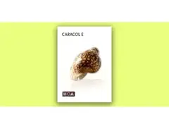 Sounds of the Earth Caracol E main image