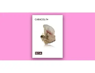 Sounds of the Earth Caracol F#