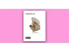 Sounds of the Earth Caracol F# main image