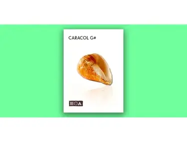Sounds of the Earth Caracol G#
