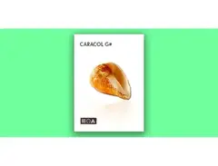 Sounds of the Earth Caracol G# main image