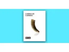 Sounds of the Earth Cuerno de Carnero main image