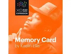 XLN Audio XO Expansion: Memory Card by Kaelin Ellis