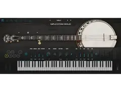 Ample Sound Ample Ethno Banjo main image