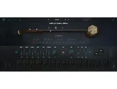 Ample Sound Ample China Erhu main image