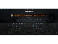 Ample Sound Ample China Dadi main image