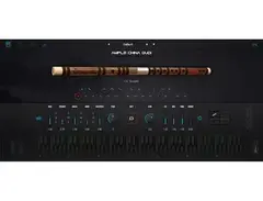 Ample Sound Ample China Qudi main image