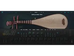 Ample Sound Ample China Pipa main image