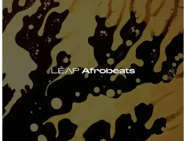 Native Instruments Leap Expansion - Afrobeats