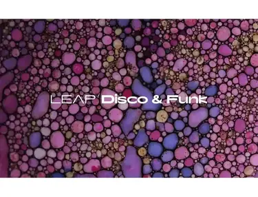 Native Instruments Leap Expansion - Disco and Funk