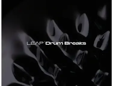 Native Instruments Leap Expansion - Drum Breaks