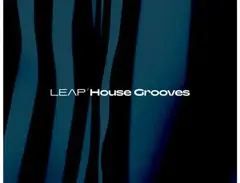 Native Instruments Leap Expansion - House Grooves main image