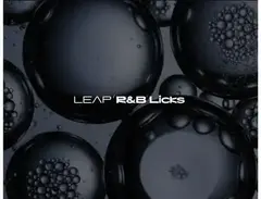 Native Instruments Leap Expansion - RnB Licks main image