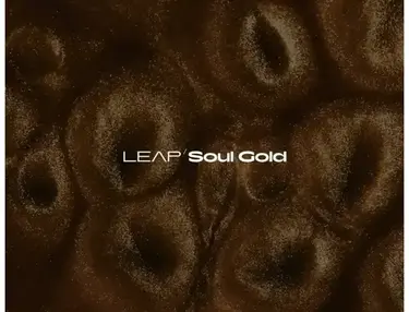 Native Instruments Leap Expansion - Soul Gold
