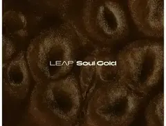 Native Instruments Leap Expansion - Soul Gold