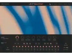 Native Instruments Leap Expansion – Soul Choir main image