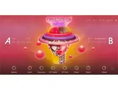 Native Instruments Discoteca Keys