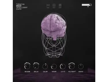 Thenatan Audio Brain