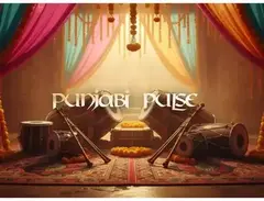Pitch Innovations Sonic Atlas Expansion: Punjabi Pulse main image