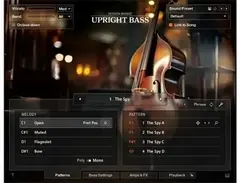 Native Instruments Session Bassist - Upright Bass main image