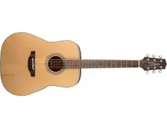 Takamine GD20-NS Acoustic Guitar