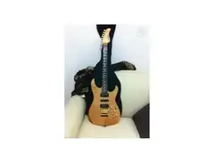 Fernandes AFR-150S