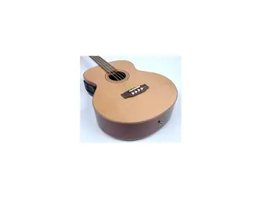 SX Guitars JBG30E