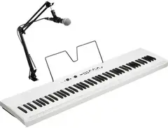 Korg Liano Live 88-key Digital Piano
