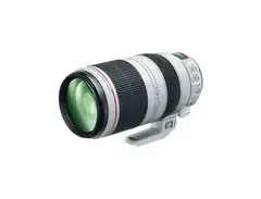 Canon EF 100-400mm f/4.5-5.6L IS II USM Lens