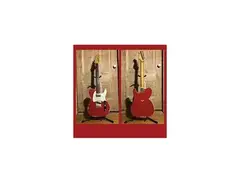 Karge Guitars T-Style HS main image