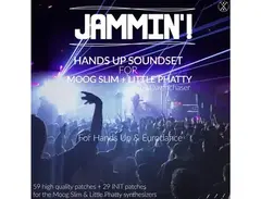Kulshan Studios Jammin'! Hands Up Soundset main image