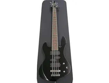 Oktober John Gallagher Raven 12-String Basses