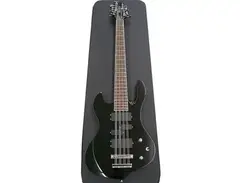 Oktober John Gallagher Raven 12-String Basses