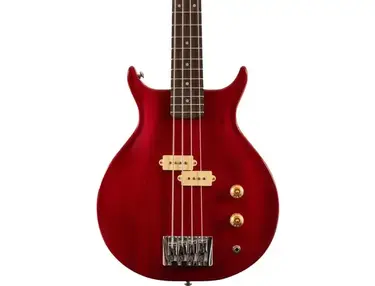 Washburn Pat Badger signature - What To Know & Where To Buy