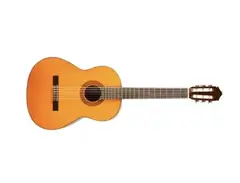 Yamaha G-170A main image