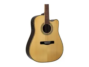 Greg Bennett Design by Samick ASDR CE Dreadnought