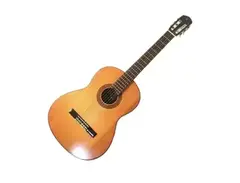 Yamaha G-70D main image