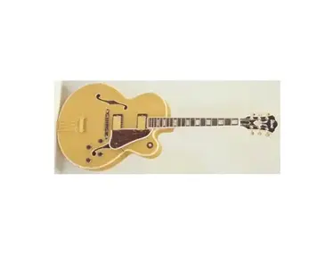 Ibanez FA300