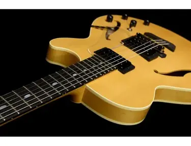 Westville Guitars "Water"