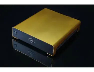 Apollon Purifi Eigentakt 1ET6525SA M Monoblock Amplifier