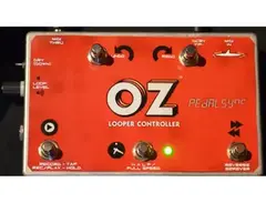 Molten Voltage OZ Looper Controller main image