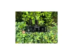 D. Kowalski Amplifiers Dark Gene Mini Amp Head main image